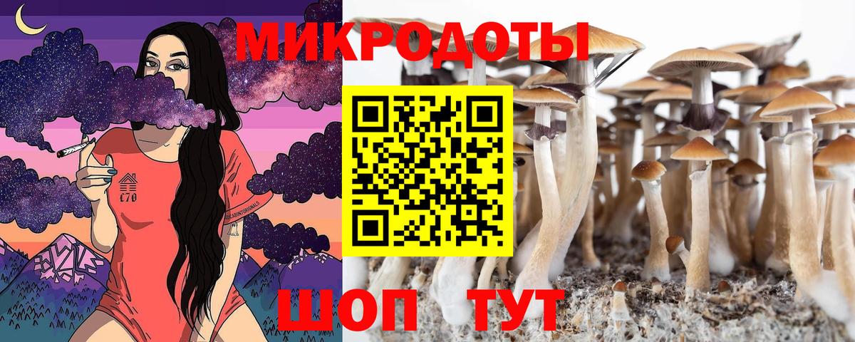 Галлюциногенные грибы прущие грибы Кропоткин