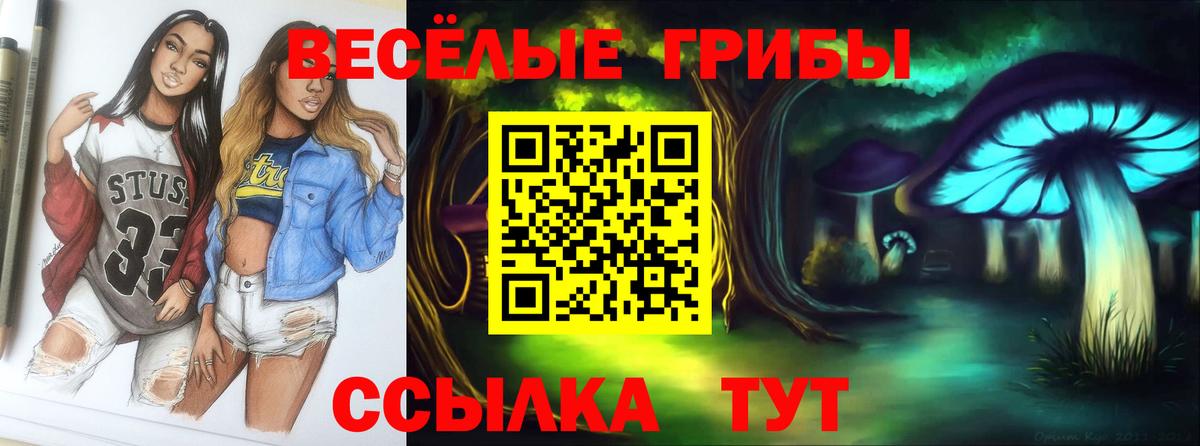 Псилоцибиновые грибы мухоморы  Вход с VPN  Кропоткин  Псилоцибиновые грибы мицелий 
